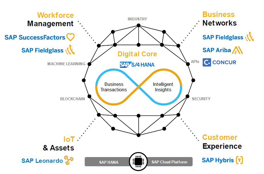 The SAP Digital Core — S/4HANA at the center of workforce management, business networks, customer experience and IoT & assets, connecting Business Transactions and Intelligent Insights